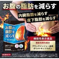 ราคา อาหารเสริม Shin nihon health Sibodon EX Fat Reduce Diet 1 ซอง 60 เม็ด (27521806917)