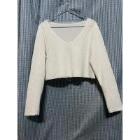 ราคา เสื้อครอปแขนยาวสีขาวล้วน (20192944855)