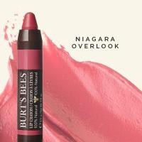 ราคา Burt's Bees Lip Crayon 3.11g