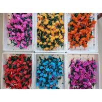 ราคา ดอกไม้ธูปเทียนลอยกระทง (ดอกไม้ธุปเทียนราคาส่ง 100คู่ 500คู่ )ไม้ธูปเทียนราคาส่ง (17787466758)