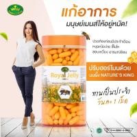 ราคา นมผึ้ง Nature's King Royal Jelly นมผึ้ง นำเข้าจากออสเตรเลีย 365 แคปซูล 1,000 mg นมผึ้งเนเจอร์คิงยี่ห้อที่ขายดีที่สุด (19254400054)