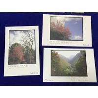 ราคา โปสการ์ดจังหวัดแม่ฮ่องสอน เซ็ต 3 ใบ (7661778324)