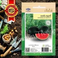 ราคา เมล็ดพันธุ์ แตงโม สมูทตี้ Watermelon Seed 0.5 กรัม 10 เมล็ด แตงโมเปลือกดำ เนื้อสีแดงสด ไร้เมล็ด เจียไต๋ ต้นไม้ เมล็ดผัก (2981513774)