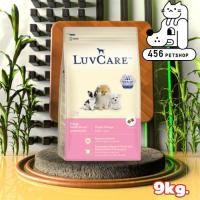 ราคา LuvCare 9kg. Puppy Small Triple Omega เลิฟแคร์ สูตรสำหรับลูกสุนัขพันธ์ุเล็ก [อาหารกระสอบ] (2431377577)