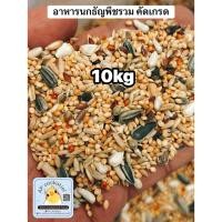 ราคา อาหารนกธัญพืชรวม10kg Parakeets ค๊อกคาเทล กรีนชีค ซันคอนัวร์ เลิฟเบิรด์ และนกแก้วขนาดเล็กและกลาง (46951606814)