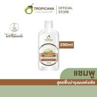 ราคา Tropicana | ทรอปิคานา แชมพูน้ำมันมะพร้าว สูตรฟื้นบำรุงผมแห้งเสีย 290 ML (12591763706)