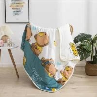 ราคา ผ้าห่มนวม 3ฟุต ลายการ์ตูน ผ้าห่มเด็ก นวมบาง 100*140cm. (18588645530)