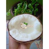 ราคา ราคาดีที่สุด มะพร้าวกะทิทับสะแก มะพร้าวกะทิเนื้อฟูนุ่ม ทานอร่อย ส่งตรงจากสวนทับสะแกทุกลูก (2325903337)