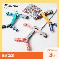 ราคา KAFBO Cat harness + Leash สายรัดอก และ สายจูง สำหรับแมว ลาย Iceland (26474690407)