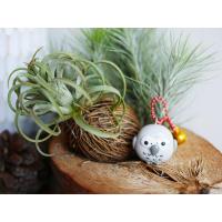 ราคา พวงกุญแจนกแก้วนกแอฟริกันเกรย์ตุ๊กตานกแก้ว (9731076683)