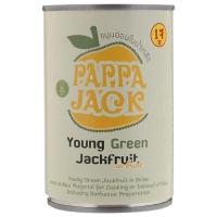 ราคา [พร้อมส่ง] ปับปาแจ็คขนุนอ่อนในน้ำเกลือ 400กรัม Pappa Jack Young Green Jackfruit in Brine 400g. (27636673779)