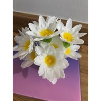 ราคา ดอกบัว (ดอกบัวบานสีขาว รวม กระถาง )ดอกบัวผ้าประดิษฐ์ ดอกบัวใส่แจกันพระ ราคาต่อ1กระถาง พร้อมดอกบัวแน่นๆๆ (26661646307)