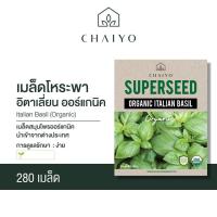 ราคา เมล็ด ใหม่็ด ITALIAN BASIL (Organic) โหระพาอิตาเลี่ยน ออร์แกนิค ใหม่ เพาะ (23240285144)