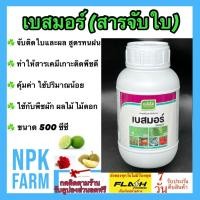 ราคา เจียไต๋ เบสมอร์ ขนาด 500 ซีซี จับใบ สารจับใบ ยาจับใบ เคลือบผิว สารเคมีเกาะติดใบพืชดี ทนฝน ทนแล้ง (29607606363)