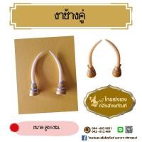 ราคา งาช้างคู่ งาช้างประดับ (45701710867)