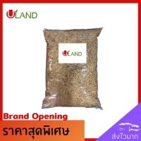 ราคา uland แกลบ แกลบขาว 300-400 กรัม แกลบดิบ แกลบคุณภาพ แกลบผสมดินปลูก แกลบคลุมหน้าดิน (9511095210)