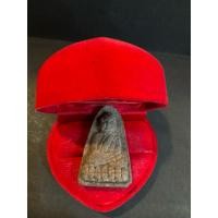 ราคา No1283 พระหลวงปู่ทวดเนื้อว่านรุ่นแรก วัดห้วยมงคล หลังฝังแผ่นปั้มหลวงปู่ทวด (27071298682)