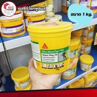 ราคา ซีเมนต์แห้งเร็วพิเศษ สำหรับอุดรอยรั่วน้ำซีเมนต์ SIKA-102 (WARTERPLUG) ขนาด 1 kg. (9915824304)