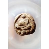 ราคา พระสังกัจจายน์เนื้อผงเก่า(ไม่ทราบที่) No.42639246 (42826874408)