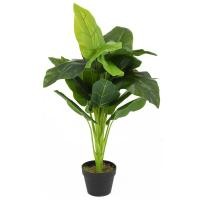 ราคา HomePro ต้นเศรษฐีวิลสันประดิษฐ์ LALA HOME 80 ซม. แบรนด์ SPRING (43811971788)