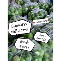 ราคา มะนาวออร์แกนิคปลอดสารเคมีปลูกเเบบเกษตรอินทรีย์ 15-30ผลต่อ1ชุด (7761393060)