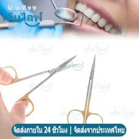 ราคา ตรง/โค้ง กรรไกรผ่าตัด เครื่องมือกรรไกรสำหรับการผ่าตัดทันตกรรม ขนาด Dental Scissors (43757441534)