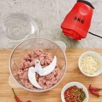 ราคา SKG เครื่องปั่น เครื่องบดสับ SKG สินค้ารับประกัน (2461172576)