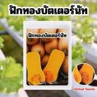ราคา เมล็ดพันธ์ุ ฟักทอง บัตเตอร์นัท-Waltham Butternut Squash (24495382772)