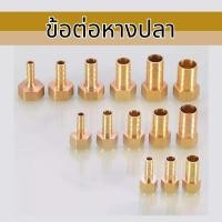 ราคา Apluz ข้อต่อทองเหลือง ข้อต่อหางปลา เกลียวใน - สายเสียบหางปลาไหล ไม่เป็สนิม พร้อมส่ง (27063218969)