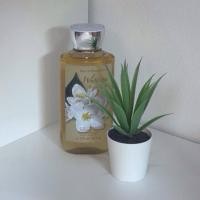ราคา Bath and Body Works White tea & ginger 8 fl oz / 236 mL (29934870583)
