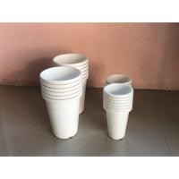 ราคา กระถางทรงสูง ขนาด 6 นิ้ว กว้าง 6.8 นิ้ว สูง 8 นิ้ว จำหน่าย เป็น ใบ (6016519972)