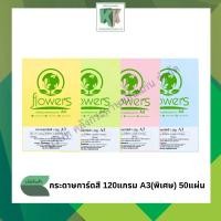 ราคา กระดาษการ์ดสี ทำปกรายงาน กระดาษสี ขนาด A3 (A3 พิเศษ) (120 แกรม 50 แผ่น/แพ็ค) | คลังกระดาษ (42572824401)