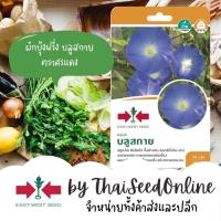 ราคา GGEW เมล็ดพันธุ์ดอกไม้ เมล็ดพันธุ์ ผักบุ้งฝรั่ง บลูสกาย 50เมล็ด ตราศรแดง ดอกผักบุ้ง (10793394073)