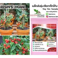 ราคา เมล็ดมะเขือเทศไทนี่ทิม จำนวน 10 เมล็ด (4677284230)