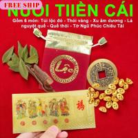 ราคา เล่ห์ดวงชุด 6 ชิ้น ห้าวง เคล็ดลับเลี้ยงเงิน - ถุงกํามะหยี่ เหรียญนําโชคห้าเม็ด เปลือกอบเชย เคล็ดลับโชคลาภ พร้อมการกวาดล้าง ปตท (55851771401)