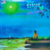 ราคา แผ่นเสียง วง คีรีบูน (8828167805)