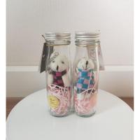 ราคา ตุ๊กตาหมีในขวดแก้ว​ ของขวัญ (5752981149)