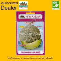 ราคา เมล็ดพันธุ์ เมล่อน เลดี้กรีน ตราตะวันต้นกล้า (5635388171)