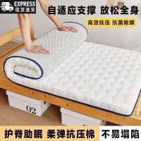 ราคา ห้องเช่าพร้อมที่นอนนุ่มหนา พรมรองใต้ที่นอนสไตล์นักศึกษาต่างชาติ (54300547860)