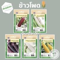 ราคา เมล็ดพันธุ์ผัก(ซอง) ข้าวโพดข้าวเหนียวซูพรีม เหนียวม่วงหวาน09 ข้าวโพดหวานอัญชัญ หวานฮอกไกโดเจียไต๋ ข้าวโพดหวานเจียไต๋ (12651159570)