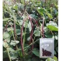 ราคา พร้อมส่งด่วนทุกวัน เมล็ดพันธุ์ถั่วพุ่มม่วงไร้คาง ราคา9บาท มี20เมล็ด ถั่วฝักยาวม่วงไร้คาง ถั่วไร้คาง ถั่วฝักยาวไร้คาง (14304004996)