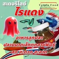 ราคา อาหารปลา ไรแดง UHT อาหารลูกปลา ปลากัด ปลาหางนกยูง ปลาสวยงาม ไรแดงสด ไลแดง ยังมี อาร์ทีเมีย ลูกน้ำ ไรนางฟ้า ไข่ไรนางฟ้า (23069403781)