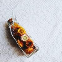 ราคา แจกันแก้วทรงสี่เหลี่ยมไม้ก๊อก Combo (28040042270)