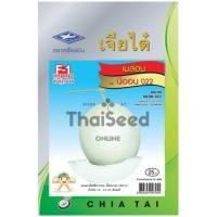 ราคา เมล็ดพันธุ์ เมล่อน นีออน 20 เมล็ด ตราเจียไต๋ Melon (868063167)