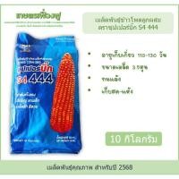 ราคา เมล็ดพันธุ์ข้าวโพดเลี้ยงสัตว์ เมล็ดพันธุ์ข้าวโพดซุปเปอร์บิ๊ก S4 444 บรรจุ10กิโลกรัม ขนาดเมล็ด3.5หุน เก็บสดและแห้งได้ (29584906727)