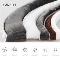 ราคา Camelli เทปกาวซีล กันลม 5 เมตร สําหรับติดประตู หน้าต่าง (25359458570)