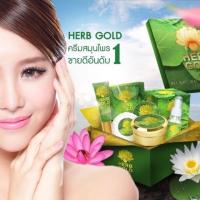 ราคา ครีมสมุนไพร HERB GOLD รักษาสิว ฝ้า กระ จุดด่างดำ (4514761184)