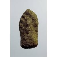 ราคา ผ1964 พระนาคปรก เนื้อว่าน ไม่ทราบที่ครับ (21995096865)