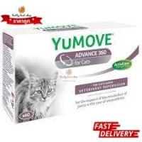 ราคา Lintbell Yumove advance 360 for Cat 60 เม็ดบำรุงข้อ กระดูก สำหรับแมว EXP8/2024 (15899065030)