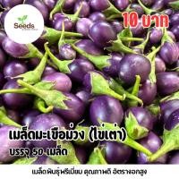 ราคา เมล็ดมะเขือม่วง (ไข่เต่า) บรรจุ 50 เมล็ด (51350377816)